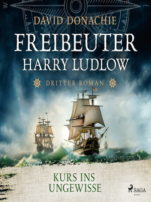 cover image of Kurs ins Ungewisse (Freibeuter Harry Ludlow, Band 3)